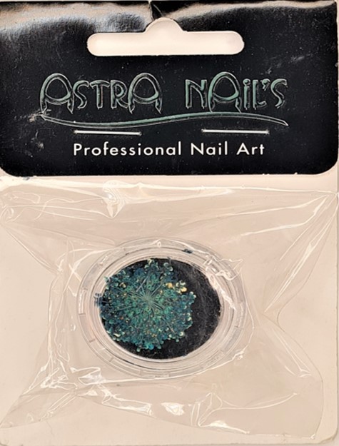 Astra Real Dried Flowers - Teal